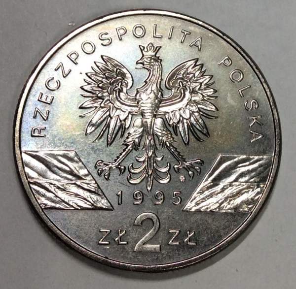 Монета 2 злотых Польша Сом 1995 Монета 2 злотых Польша Сом 1995