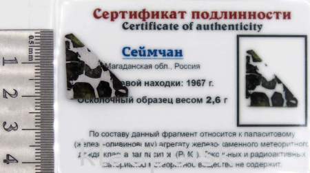 Спил метеорита Сеймчан арт 19