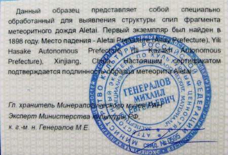 Кулон «Сердце» с метеоритом Aletai