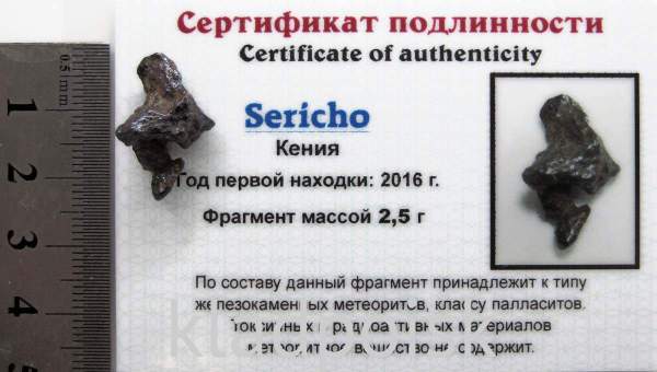 Осколок метеорита Sericho (арт 20) Осколок метеорита Sericho (арт 20)
