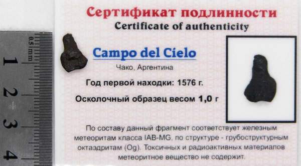 Осколок метеорита Campo del Cielo, арт 27