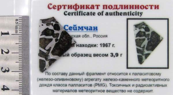 Спил метеорита Сеймчан арт 15