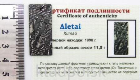 Подвеска из метеорита Aletai, арт 21
