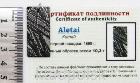 Подвеска из метеорита Aletai, арт 18