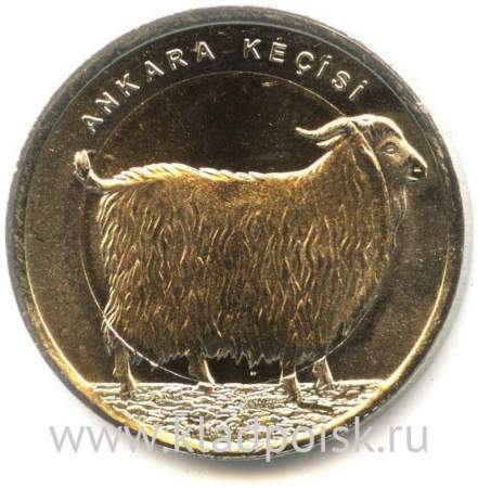 Монета 1 лира Турция – Ангорская коза, 2015