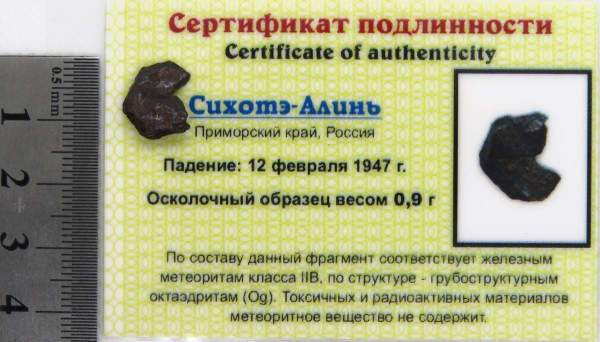 Осколок метеорита Сихотэ-Алинь арт 24
