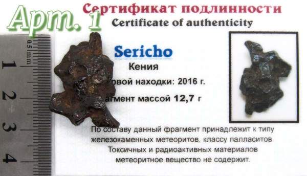 Осколок метеорита Sericho Осколок метеорита Sericho