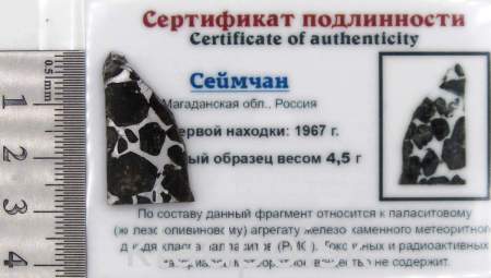 Спил метеорита Сеймчан арт 28