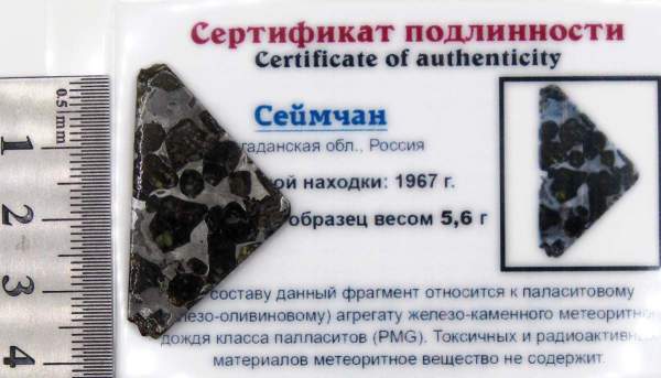 Спил метеорита Сеймчан арт 9