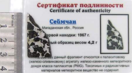 Спил метеорита Сеймчан арт 27