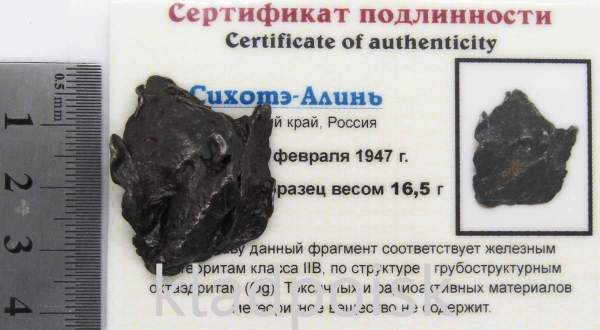 Осколок метеорита Сихотэ-Алинь арт 20