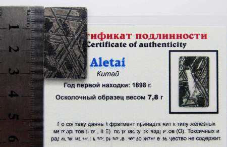 Спил метеорита Aletai, арт 20