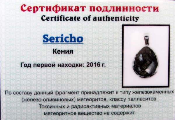 Кулон «Капля» большой с метеоритом Sericho, арт 1