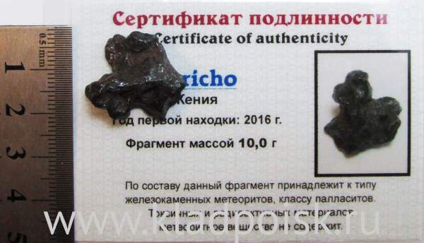 Осколок метеорита Sericho (арт 23) Осколок метеорита Sericho (арт 23)