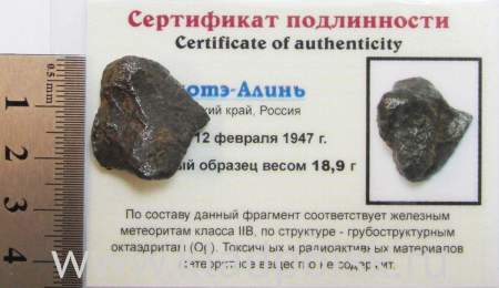 Осколок метеорита Сихотэ-Алинь арт 19