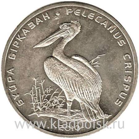 Монета 50 Тенге Казахстан Пеликан, 2010