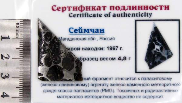 Спил метеорита Сеймчан арт 7