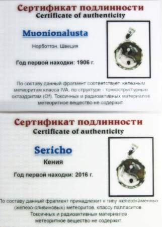 Кулон Инь-Янь с метеоритами Muonionalusta и Sericho