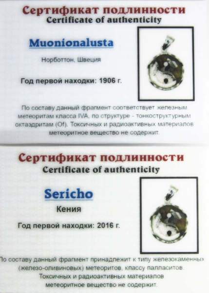 Кулон Инь-Янь с метеоритами Muonionalusta и Sericho