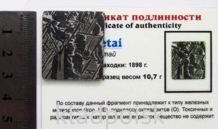 Спил метеорита Aletai, арт 29