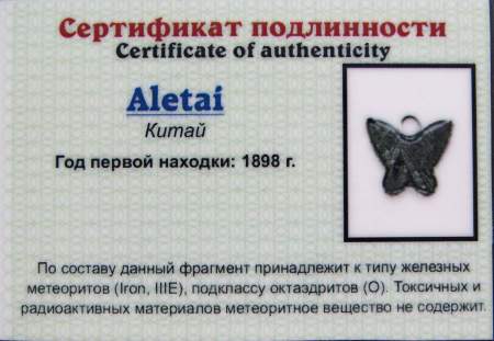 Кулон «Бабочка» с метеоритом Aletai, арт 4 Кулон «Бабочка» с метеоритом Aletai, арт 4