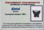 Кулон «Бабочка» с метеоритом Aletai, арт 4 Кулон «Бабочка» с метеоритом Aletai, арт 4