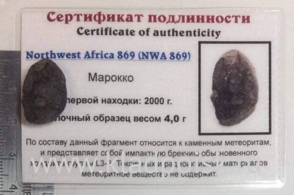 Осколок метеорита NWA 869, арт 2