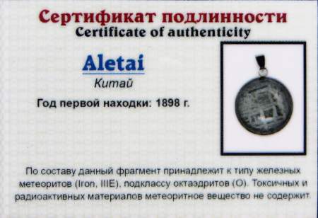 Кулон круглый с метеоритом Aletai Кулон круглый с метеоритом Aletai