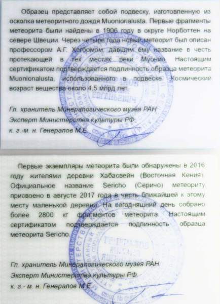 Кулон Инь-Янь с метеоритами Muonionalusta и Sericho