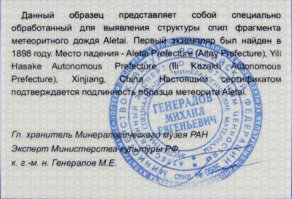 Кулон малый «Сердце» с метеоритом Aletai