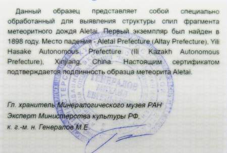 Кулон с метеоритом Aletai