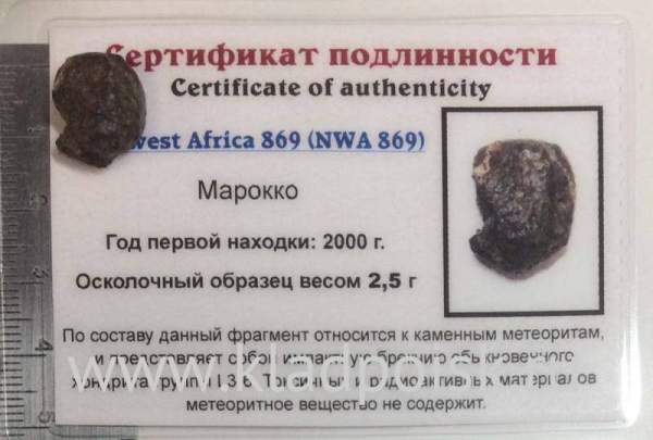 Осколок метеорита NWA 869