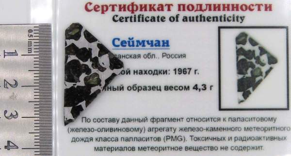 Спил метеорита Сеймчан арт 17