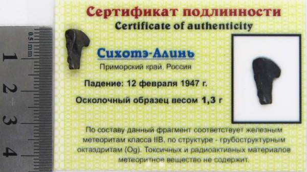 Осколок метеорита Сихотэ-Алинь арт 17