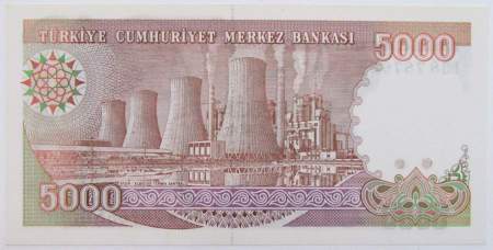 Банкнота 5000 лир 1990 года - Турция