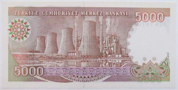 Банкнота 5000 лир 1990 года - Турция