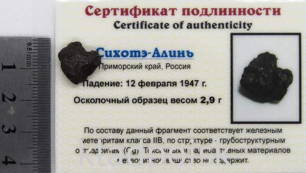 Осколок метеорита Сихотэ-Алинь арт 33