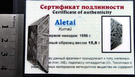 Ограненный осколок метеорита Aletai, арт 8