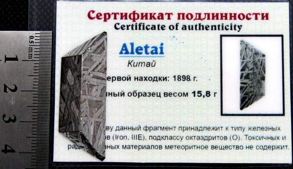 Ограненный осколок метеорита Aletai, арт 8