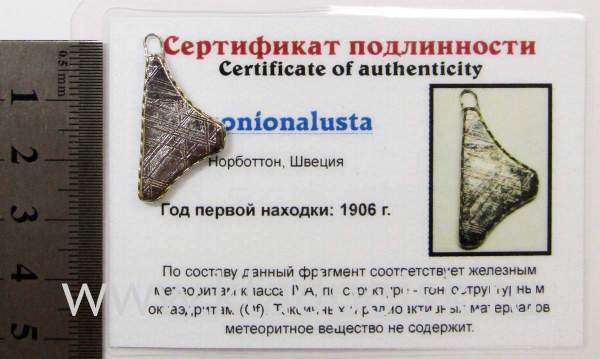 Подвеска из метеорита Муонионалуста (Muonionalusta), арт 15