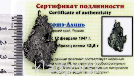 Подвеска из метеорита Сихотэ-Алинь (арт 23) Подвеска из метеорита Сихотэ-Алинь (арт 23)