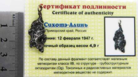 Подвеска из метеорита Сихотэ-Алинь (арт 23) Подвеска из метеорита Сихотэ-Алинь (арт 23)