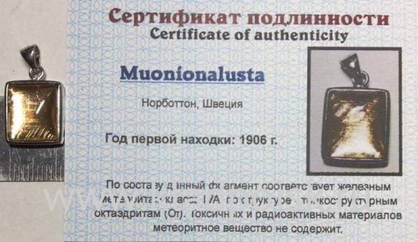 Подвеска из метеорита Муонионалуста (Muonionalusta) с позолотой (арт 12)