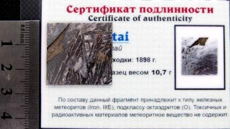 Спил метеорита Aletai, арт 15