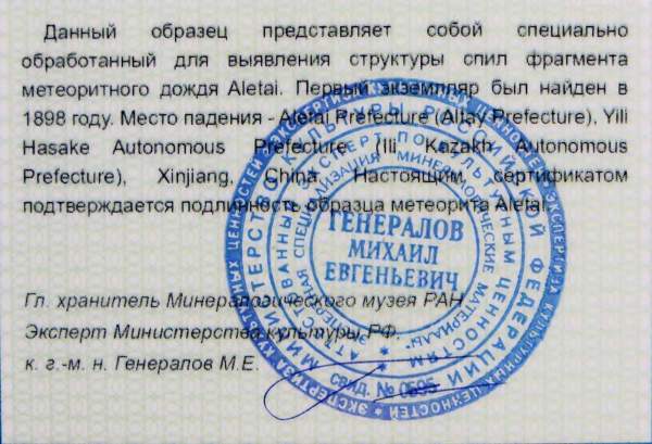 Кулон «Звезда» с метеоритом Aletai, арт 3