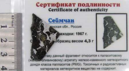 Спил метеорита Сеймчан арт 12