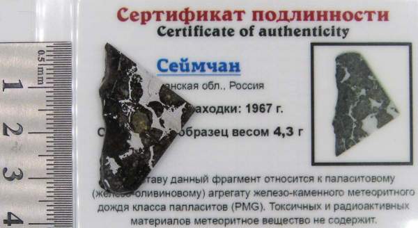 Спил метеорита Сеймчан арт 12