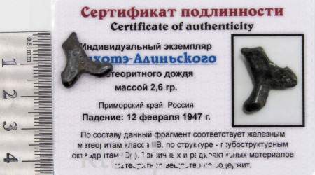 Индивидуальный экземпляр Сихотэ-Алиньского метеоритного дождя