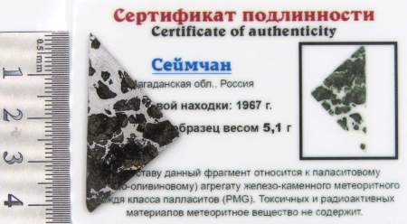 Спил метеорита Сеймчан арт 38