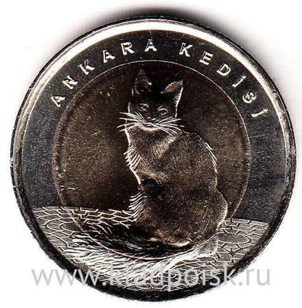 Монета 1 лира Турция – Ангорская кошка, 2015 Монета 1 лира Турция – Ангорская кошка, 2015